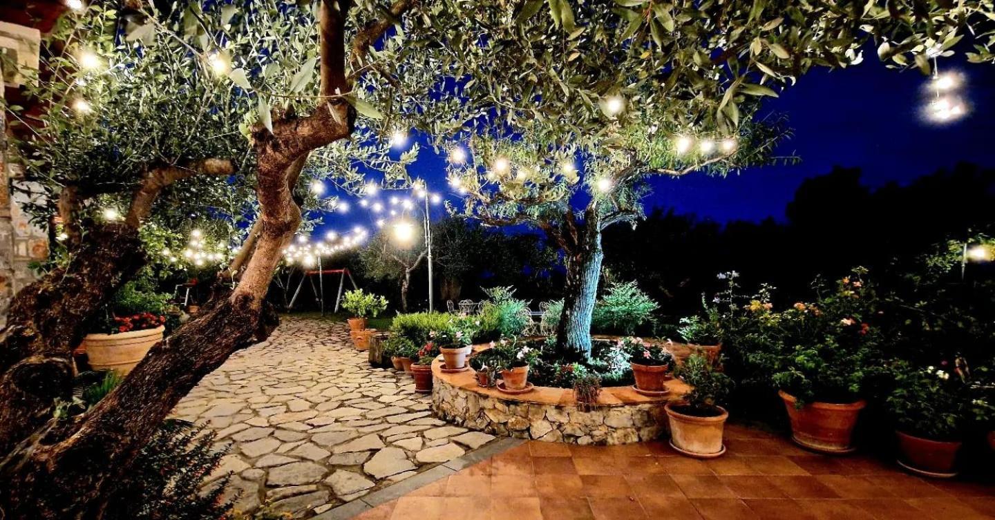 Hotel Relais Pian Delle Starze Marina di Camerota Eksteriør billede